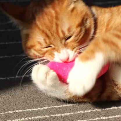 Kattenkruid Kattenspeeltje Pluche Kauw Tandenreinigend Interactief Kitten Bijtspeeltje