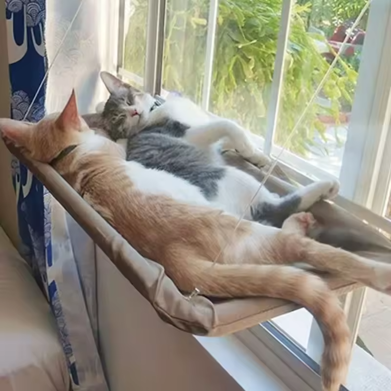 Katzen-Fensterhängematte Bett