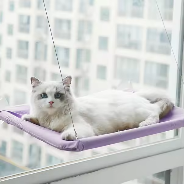 Katzen-Fensterhängematte Bett