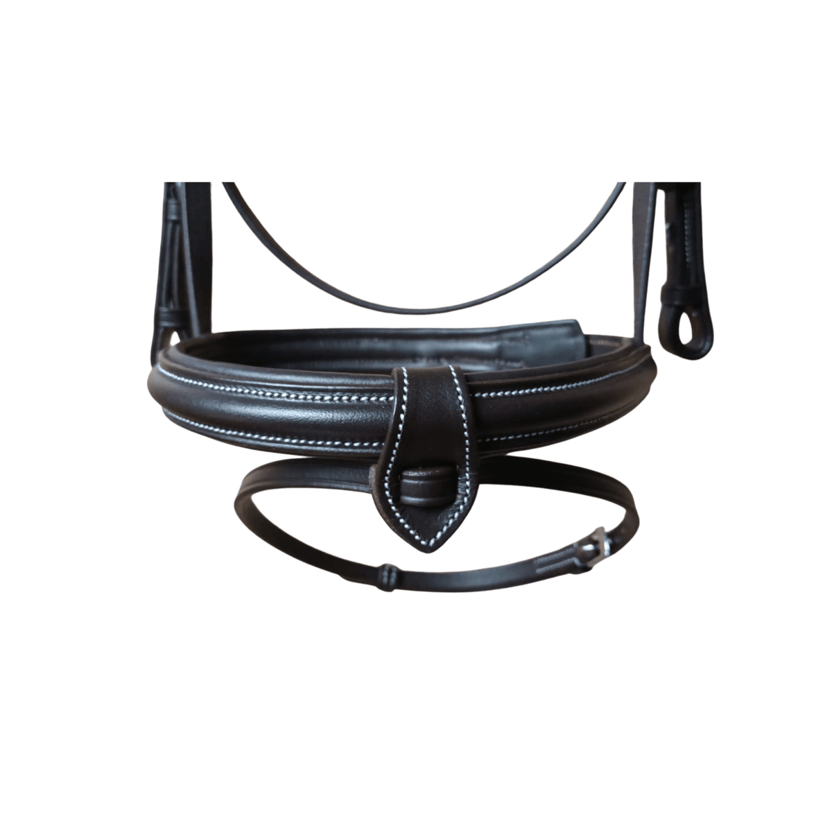 Havana horse bridle 
