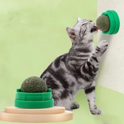 Kattenkruid Muurbal Speelgoed