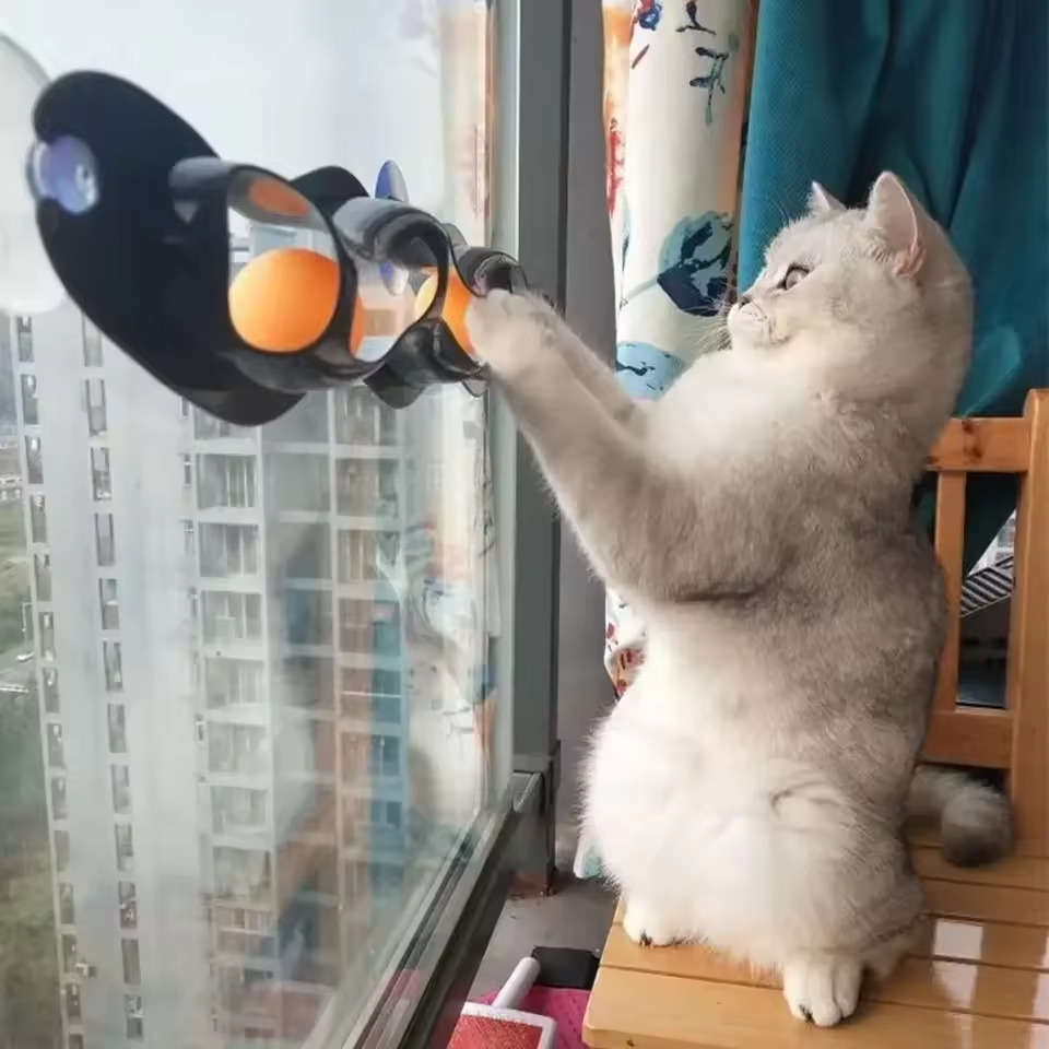 Kattenspeeltje met zuignap en speelbaan